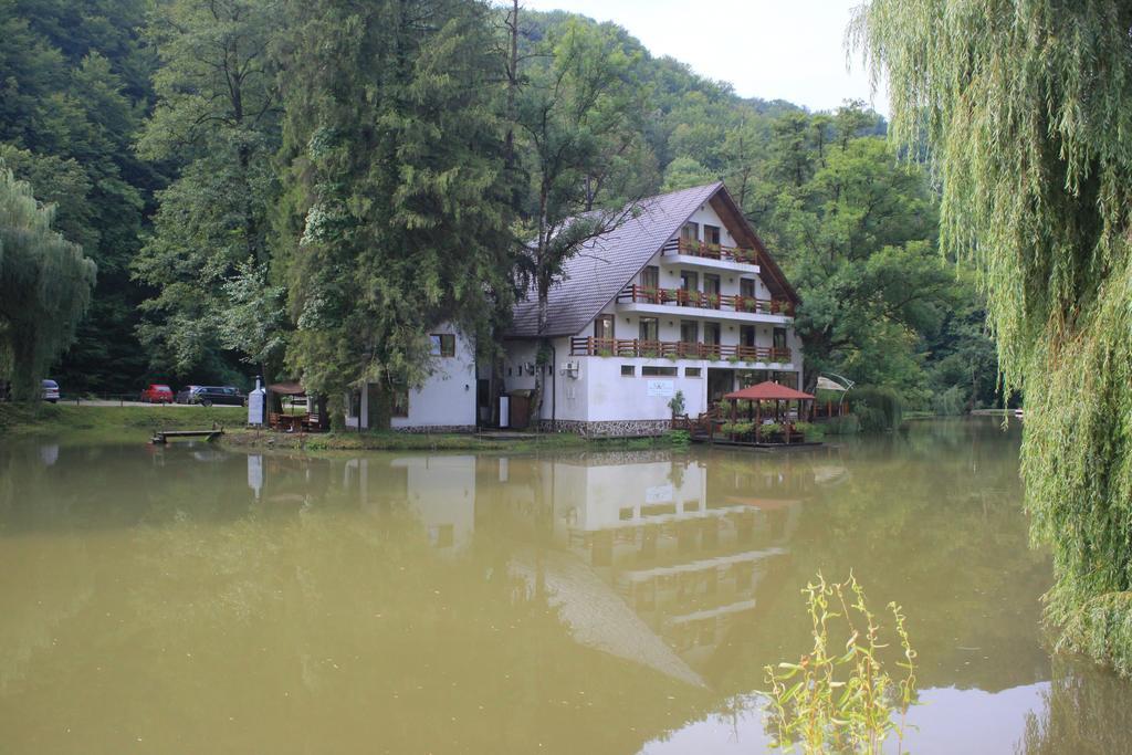 Guest House Lacul Linistit Moneasa Quarto foto