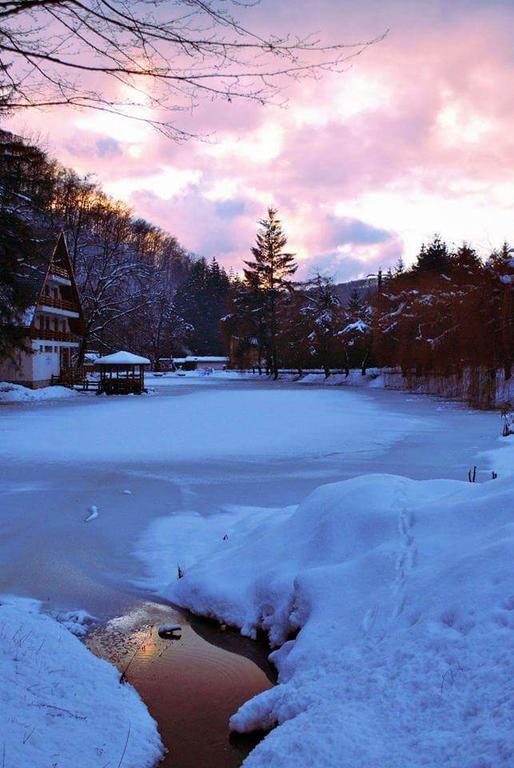 Guest House Lacul Linistit Moneasa Exterior foto